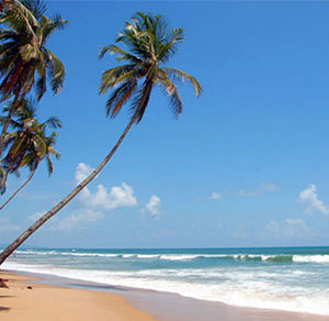 Goa Tourism